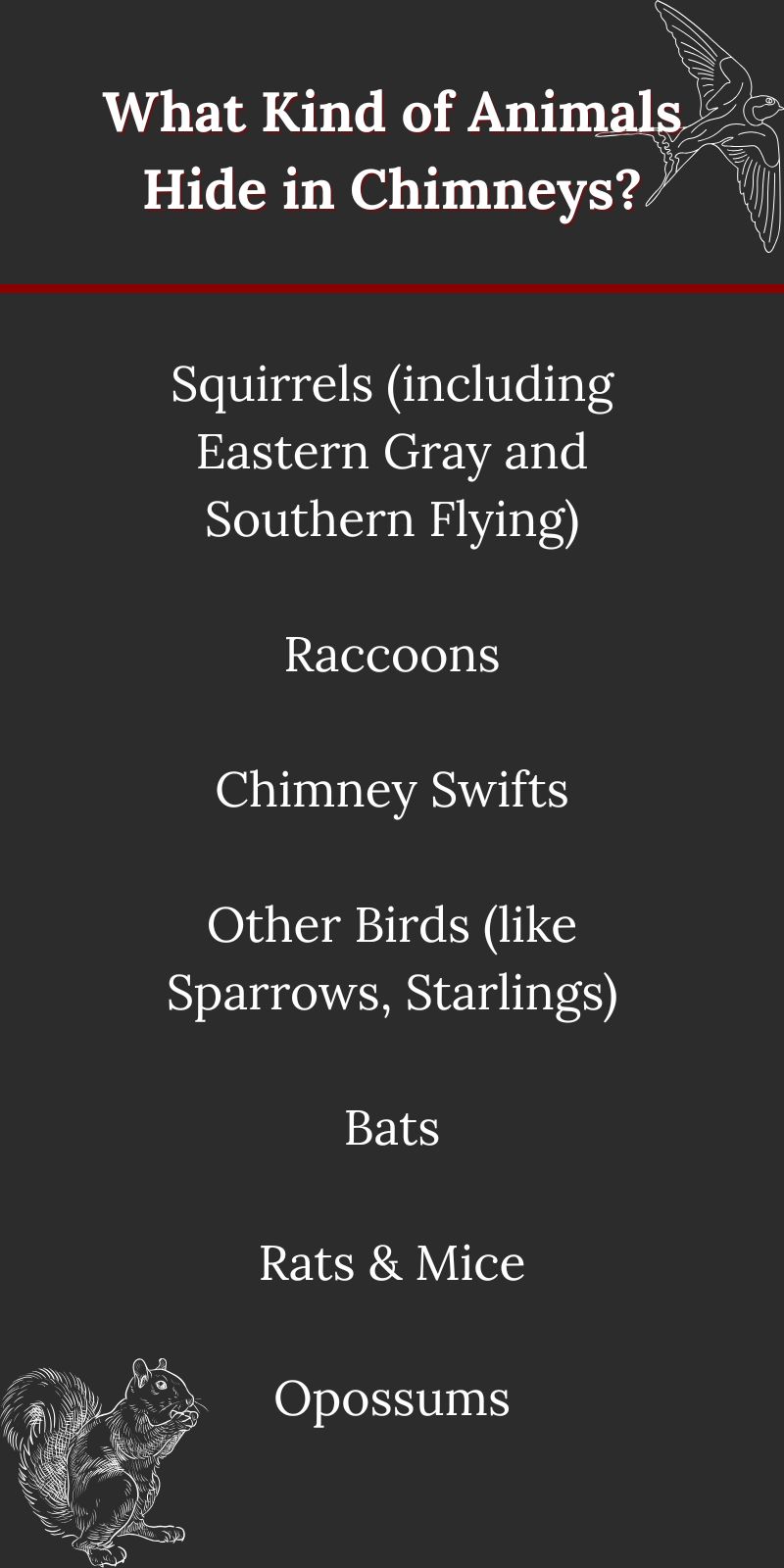original infographic detailing animals that hide in chimneys